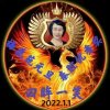 秦之韵小棉袄的头像
