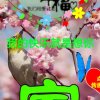 无情的雨滴的头像