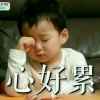 杨晓杰的头像