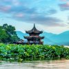 到处阳光灿烂的头像