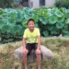 叶帅的头像