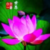幸福快乐的头像