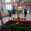 幸福永远的头像