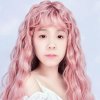 风雨后的彩虹 的头像
