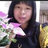 人生如梦的头像