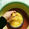 孙一辽宁朝阳红谷子新小米全国包邮的头像