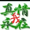 真心换真情的头像