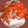 枫叶的头像