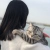 Sunny的头像