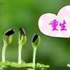 平淡中的期待的头像