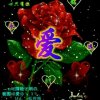 秋天的玫瑰的头像