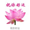 喜弟的头像
