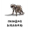 真我的风采的头像