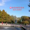 明天会更好有访必回的头像