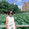 英子的头像