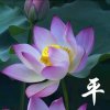 听众的头像