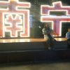 林的头像