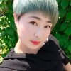 叶紫的头像