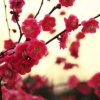 孤傲寒冬的头像