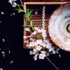 三月的头像