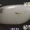 灰狼的头像