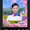 翠莲的头像