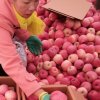 丫J静宁红……的头像