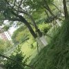 妄想的头像