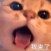 童阿梨的头像