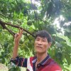隆文肖大叔的头像