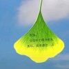 阿霞的头像