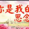 夏平的头像