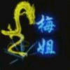 笨女人的头像