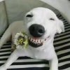张凯的头像