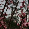 一生幸福的头像