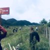 悠闲取乐的头像