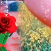 清哥歌的头像