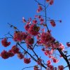 fen的头像