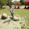 知音hongwei的头像