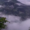 悠悠岁月的头像