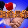 庆香的头像