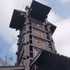 毕大帅的头像