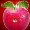 红苹果的头像