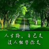樱花雨的头像