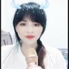 星星的头像