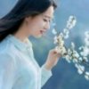 淡然一笑的头像