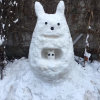 灵狐人世间的头像