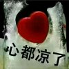 淡泊=快乐！的头像