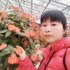 阳光灿烂之童美的头像