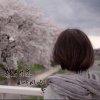 ゞ且聽の風吟ゞ的头像
